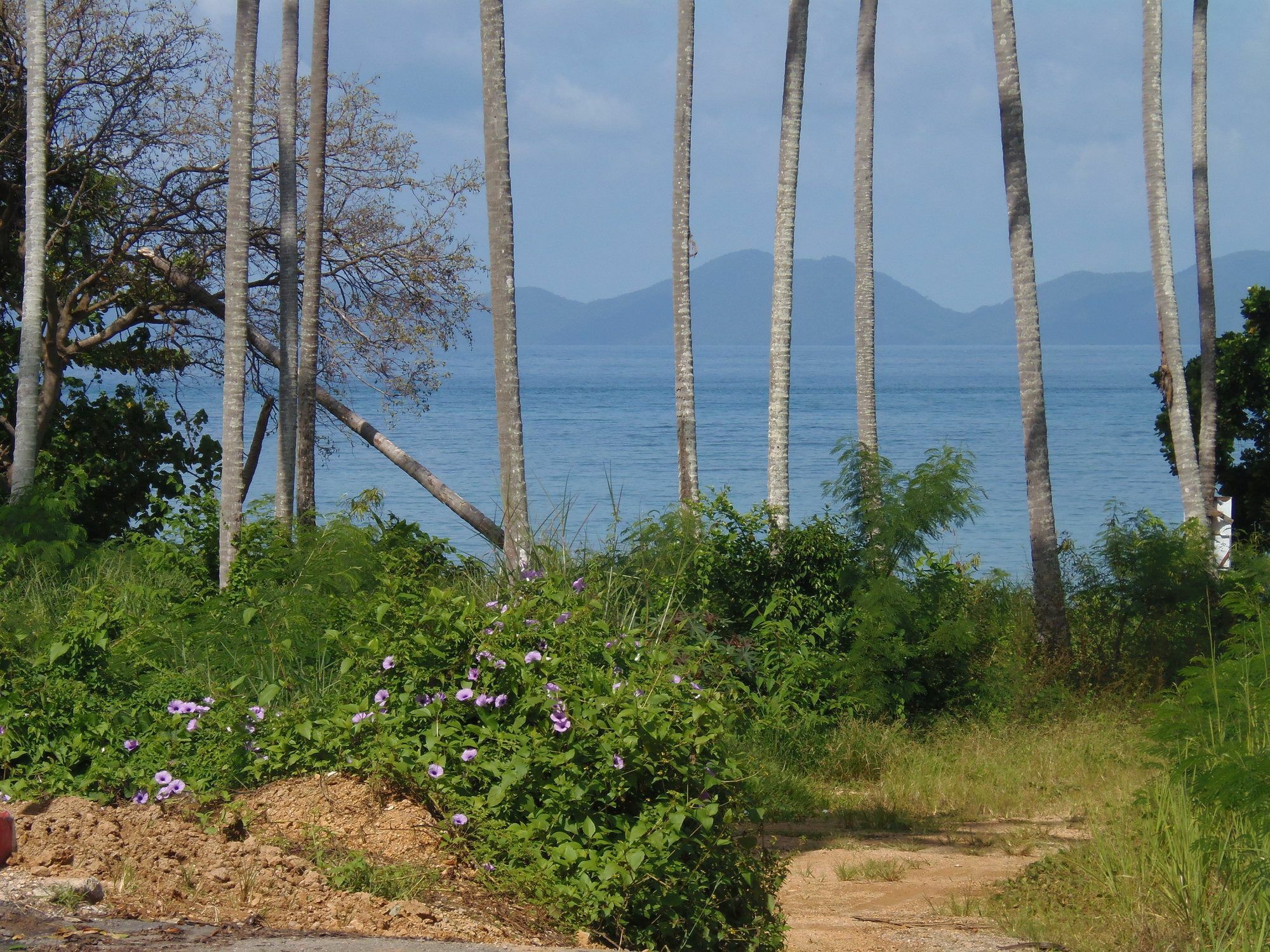 Elephants End Guesthouse Krabi Ao Nang 外观 照片